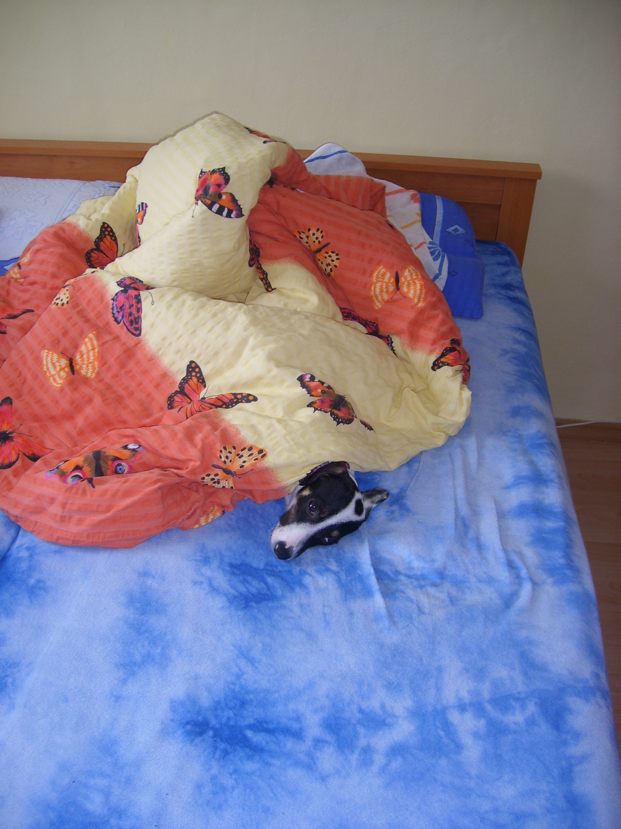 leden-2010-031