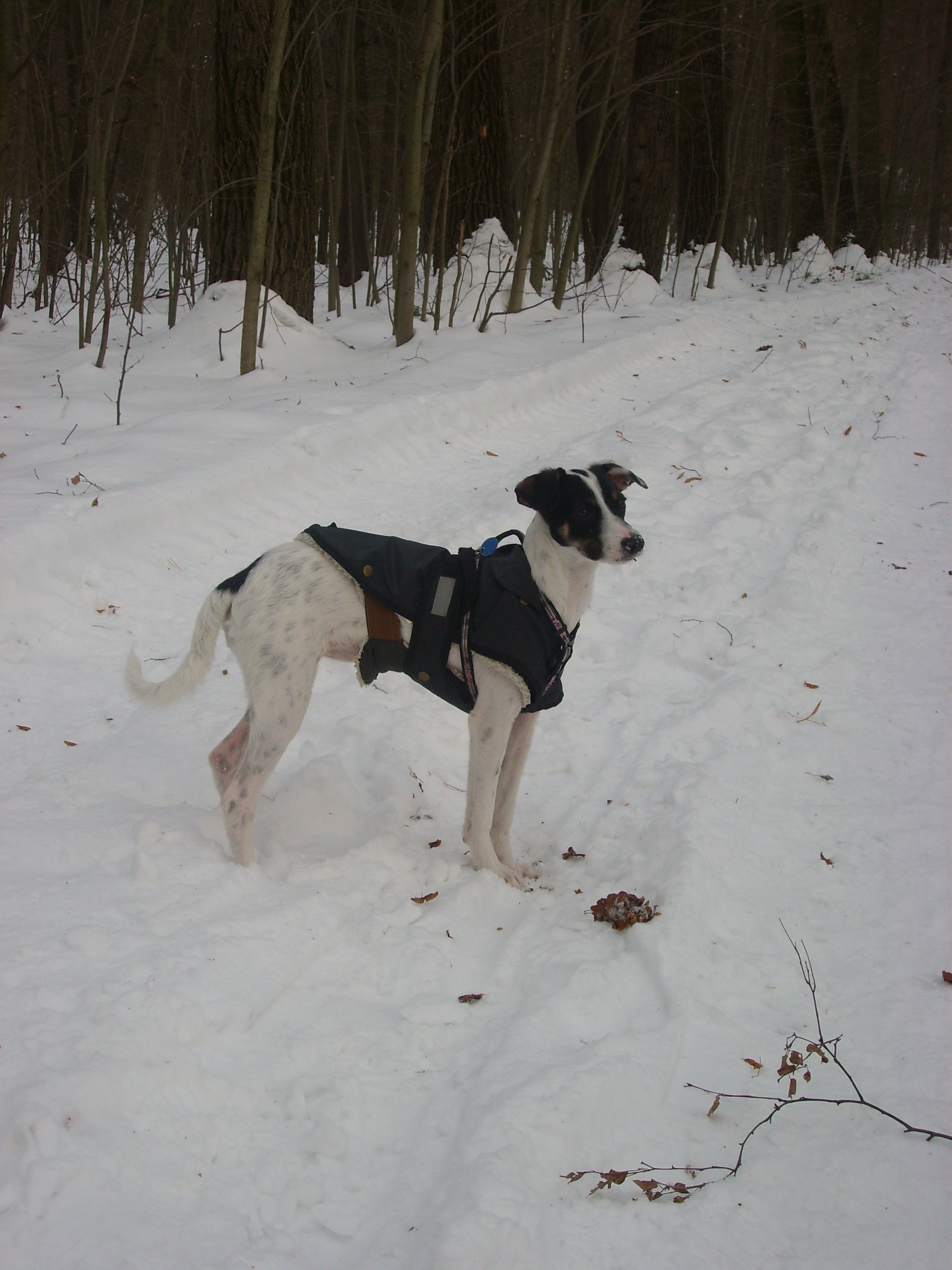 unor-2010-019