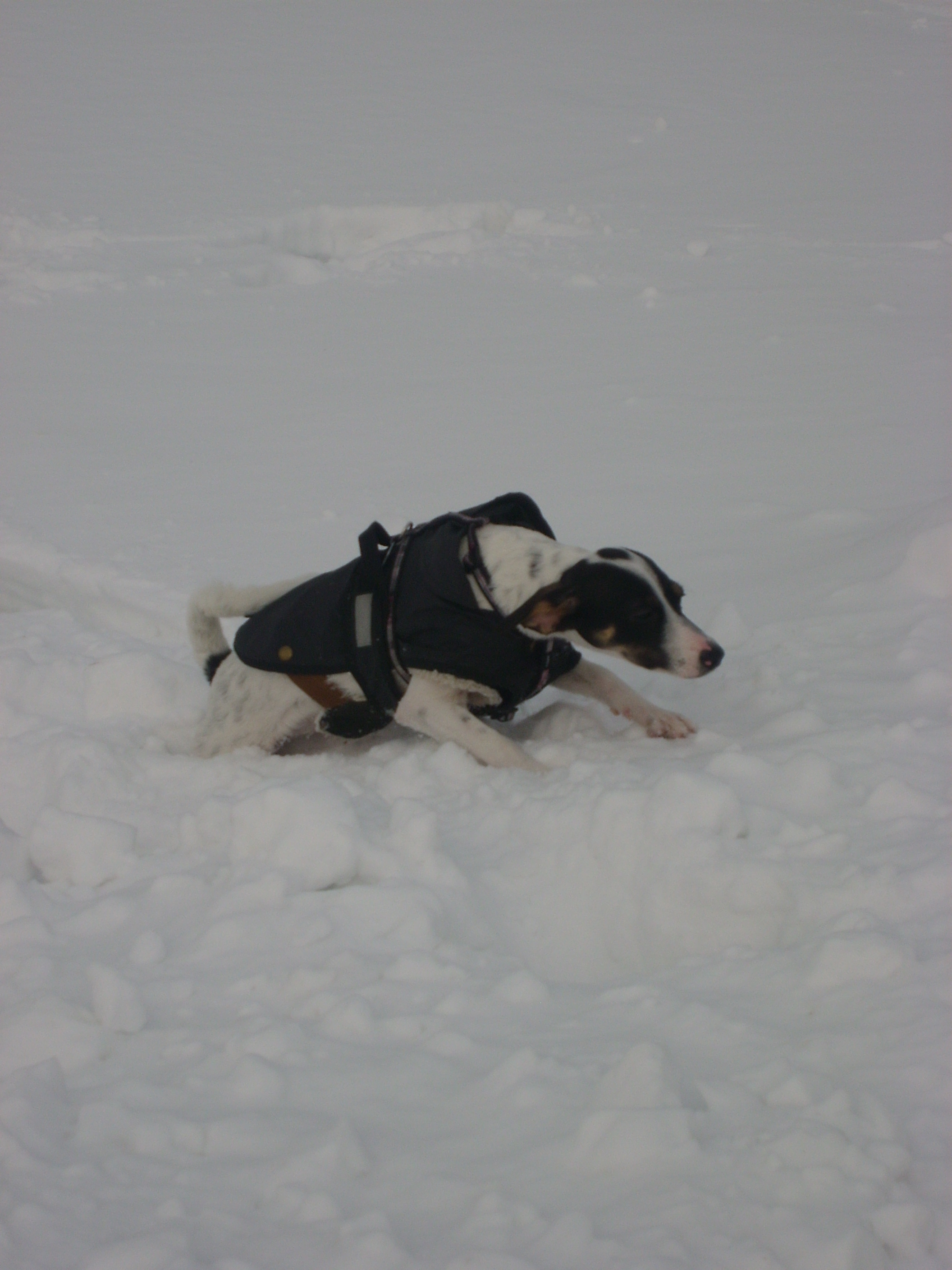 unor-2010-023