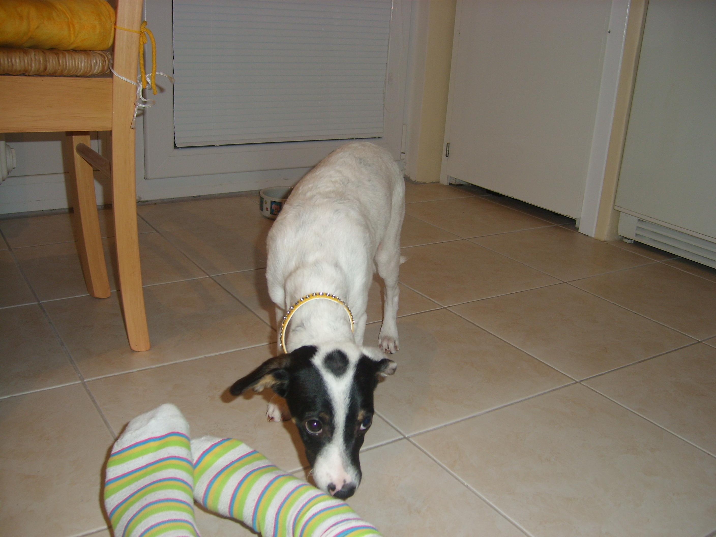 kaebi-7.11.2009-009